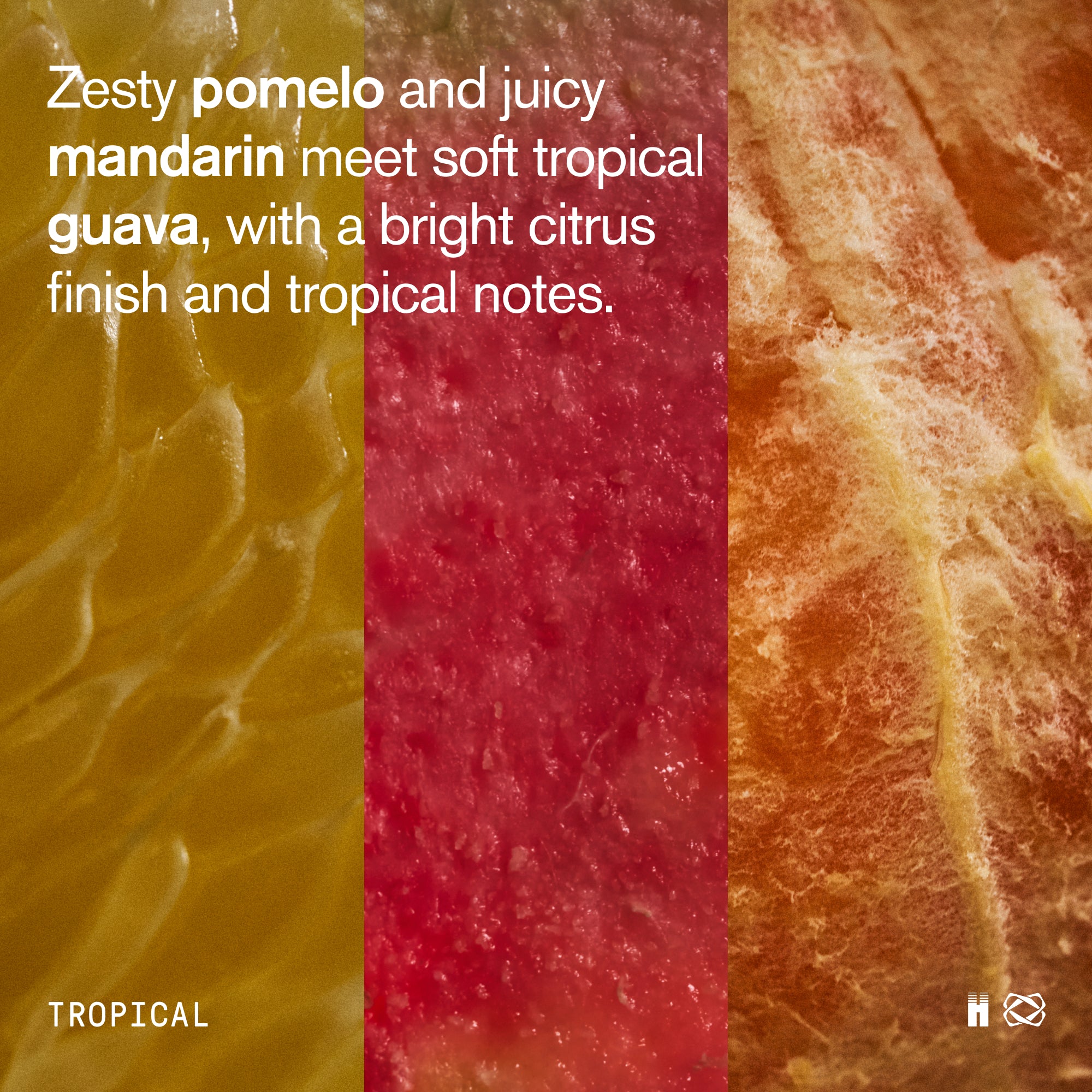 Three vertical stripes showing tropical juice colors in yellow, red, and orange tones