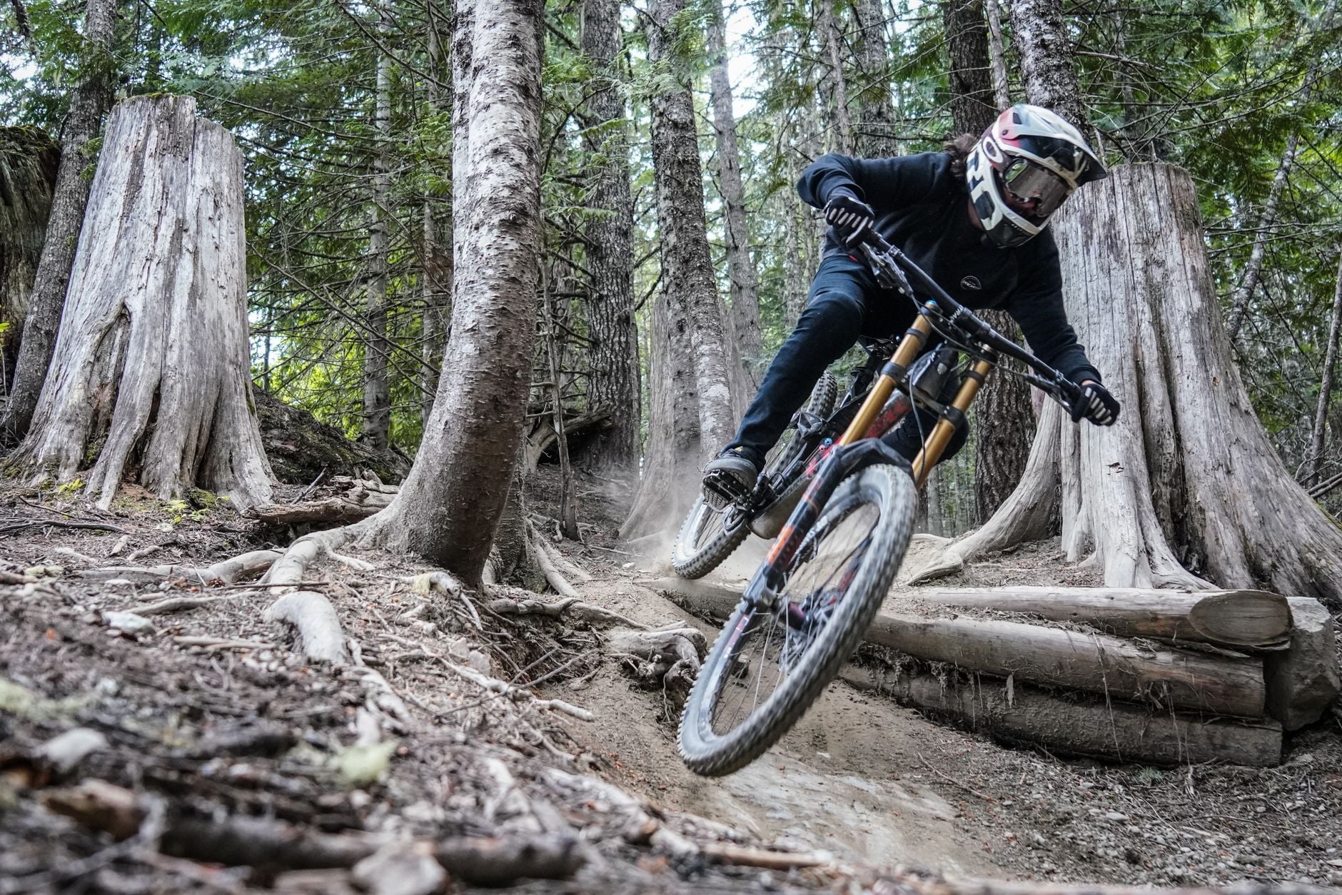 Mountain biker navigating a downhill forest trail with large tree stumps and rocky terrain