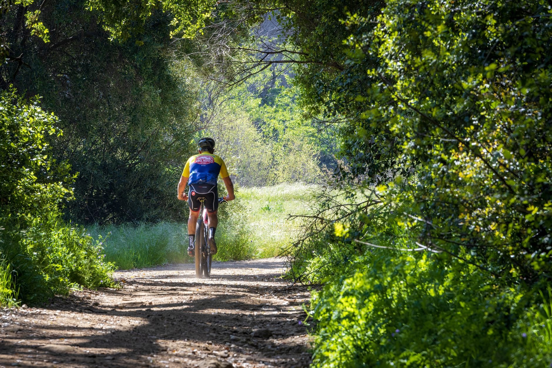 Cyclist riding on a dirt trail through a tree-lined tunnel of green foliage in bright sunlight